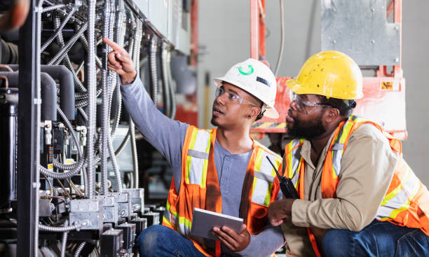 Best Licensed Electrician  in White Pine, TN