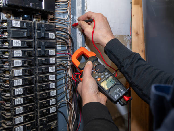 Best Electric Panel Repair  in White Pine, TN